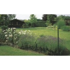 Betafence Pantanet Family Tuingaas 81cm X 10m Groen -Tuingereedschap Verkoop 123 2183