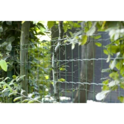 Betafence Pantanet Family Tuingaas 122cm X 25m Groen -Tuingereedschap Verkoop 123 2273