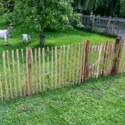 Tuinpoort Theems 100x100cm -Tuingereedschap Verkoop 123 2302