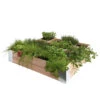 Moestuinbak Douglas 100x100cm  -Tuingereedschap Verkoop 123 2758