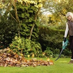 Bosch 18V Bladblazer ALB18 (zonder Accu) -Tuingereedschap Verkoop 123 613