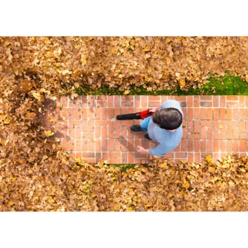 SKIL 40V Bladblazer 0380CA Brushless (zonder Accu) 4 SKIL 40V Bladblazer 0380CA Brushless (zonder Accu) - Image 2